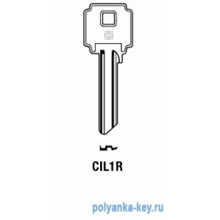 CIL4_CL6S_CIL1R_CLA11L   Cila-Gentili