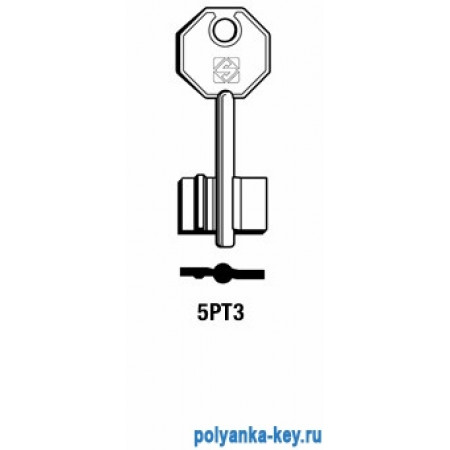 PTN6G_1PN6_5PT3_6PO   Potent