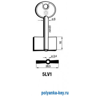 x_2LV1_5LV1_1LVF   LipsVago