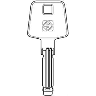 x_x_VAC155_x_VC21 (Radial SI)  Vachette