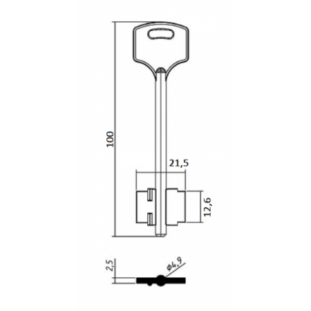 РИГГЕР-1 (100x12.6х21.5х2.5мм)(4.9мм) RIGGER  РФ