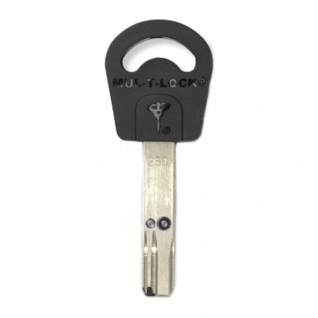 Mul-t-lock 250  Interactive