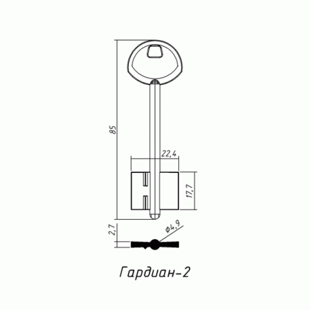 ГАРДИАН-02 (85x17.7х22.4х2.7мм)(4.9мм) (GARD1G) ГАРДИАН  РФ