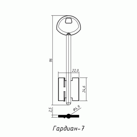 ГАРДИАН-07 (96x24.6х22.0х2.5мм)(4.9мм) ГАРДИАН  РФ