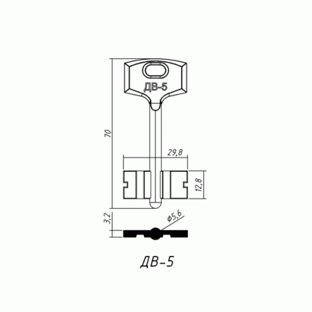 ДВ-05 (70х12.8х29.8х3.2мм)(5.6мм) (DV5G) ПАНЕВЕЖИС  РФ